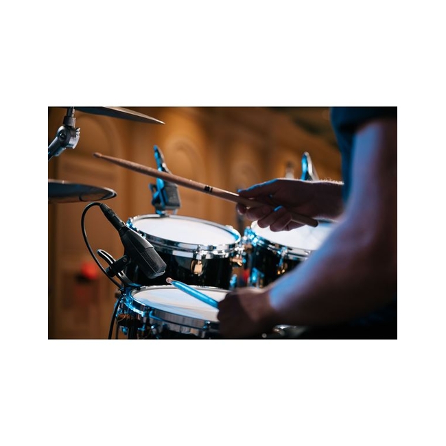 SENNHEISER MD-421 Kompakt Δυναμικό Μικρόφωνο