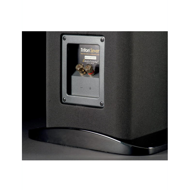 GoldenEar Triton Seven (Ζεύγος)