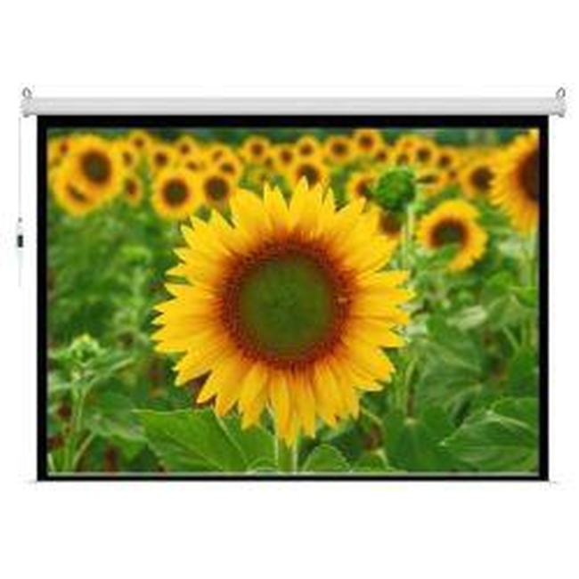 Vega Classic Manual 180 Manual 4:3 - 180x135 / 85''  