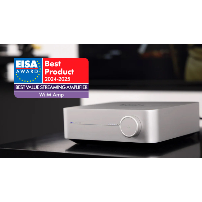 WiiM Amp - Silver
