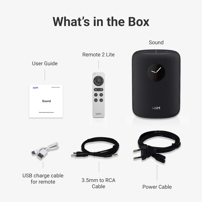 WiiM Sound Smart Speaker - Black